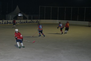 Eishockeyturnier 20100312-235457 8042