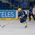 IceBusiness_vs_DevilDucks_20140213-193241_2491.jpg