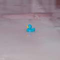 EisVerbrennung_20140317-174034_3655.jpg