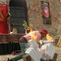 Burgfest_Stargard_20090809_124605_8164.jpg