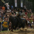 Burgfest_Stargard_20090809_151239_8375.jpg