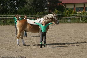 Dabendorf Hoffest 20090912 141356 1460