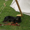 Internes_Lager_Dabendorf_20090627_162217_2789.jpg