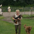 Internes_Lager_Dabendorf_20090627_170914_2798.jpg