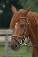 Internes Lager Dabendorf 20090627 171640 2838