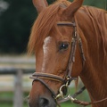 Internes_Lager_Dabendorf_20090627_171640_2838.jpg