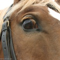 Internes_Lager_Dabendorf_20090627_174149_2949.jpg
