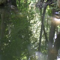 Betriebsausflug_20090904_123320-1184.jpg