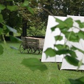 Burgfest_Stargard_20100814-171331-7097.jpg