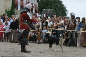 Burgfest Stargard 20100815-122521-8392