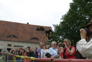 Burgfest Stargard 20100815-125645-8542