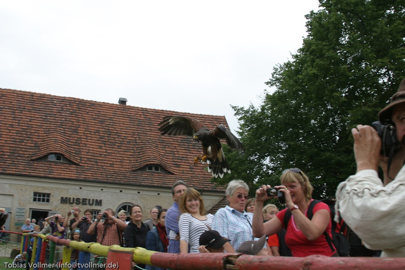 Burgfest Stargard 20100815-125645-8542 - Burgfest_Stargard_20100815-125645-8542.jpg Burgfest_Stargard_20100815-125645-8542.jpg