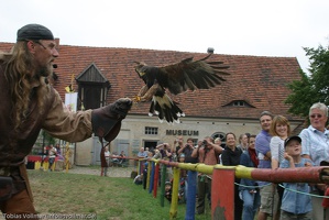 Burgfest Stargard 20100815-125645-8543