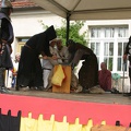 Burgfest_Stargard_20100815-155209-9360.jpg