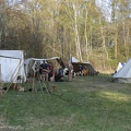 Heerbann_20100424_183248_1264.jpg