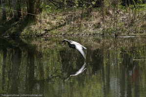 Heerbann 20100425 124259 1518