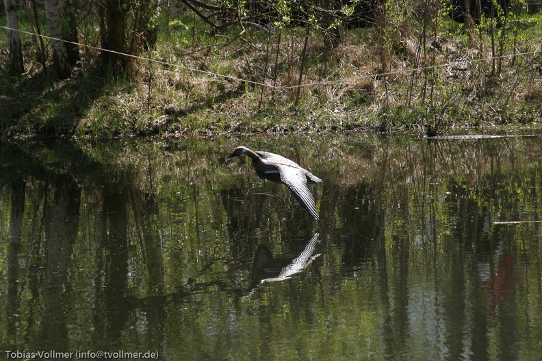 Heerbann_20100425_124259_1518.jpg