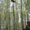 Heerbann_20100425_132331_1647.jpg