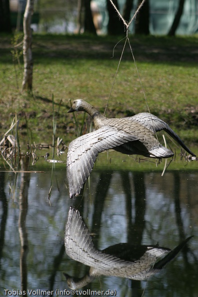 Heerbann_20100425_132949_1667.jpg