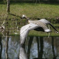 Heerbann_20100425_132949_1667.jpg