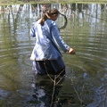Heerbann_20100425_134114_1718.jpg