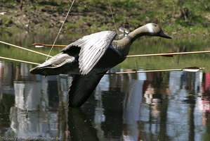 Heerbann 20100425 134535 1742