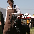 Heerbann_20100425_141403_1805.jpg