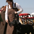 Heerbann_20100425_141403_1806.jpg
