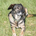 Alls_Wari_Dags_20110430-101502-7748.jpg
