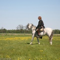 Alls_Wari_Dags_20110430-114453-7827.jpg