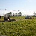 Alls_Wari_Dags_20110501-081604-8261.jpg