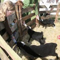 Alls_Wari_Dags_20110501-105944-8297.jpg