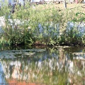 Neustadt_Glewe-20110604-19_51_26_3849.jpg