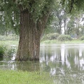 Schlacht_um_Ruegen-20110806-10_47_06_0461.jpg