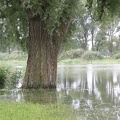 Schlacht_um_Ruegen-20110806-10_47_06_0462.jpg