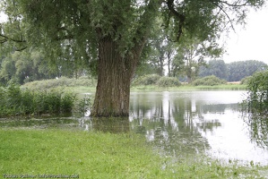 Schlacht um Ruegen-20110806-10 47 13 0463