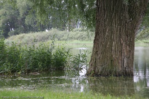 Schlacht um Ruegen-20110806-10 47 18 0464