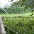 Schlacht_um_Ruegen-20110807-10_22_33_0837.jpg