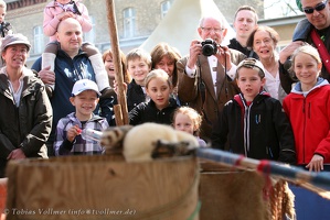Pankow-20120421-12 06 52 7519