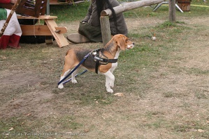 Burgfest Heldrungen-20120923-12 46 25 4525