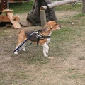 Burgfest_Heldrungen-20120923-12_46_25_4525.jpg