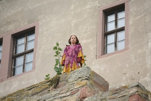 Burgfest Heldrungen-20120923-15 53 24 4783