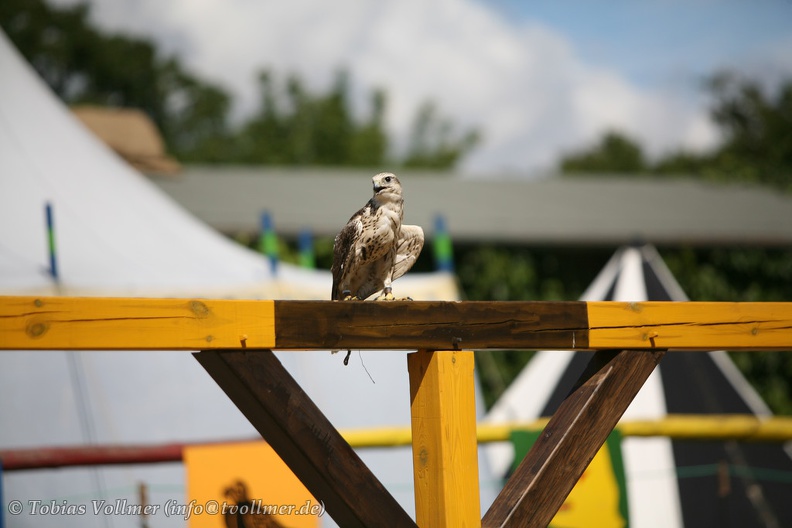 Burgfest Stargard-20120811-13 24 13 1664 - Burgfest_Stargard-20120811-13_24_13_1664.jpg Burgfest_Stargard-20120811-13_24_13_1664.jpg