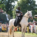 Burgfest_Stargard-20120811-15_29_46_1914.jpg