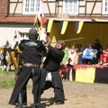 Burgfest_Stargard-20120811-15_43_21_1993.jpg