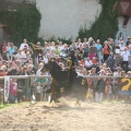 Burgfest_Stargard-20120811-15_47_54_2059.jpg