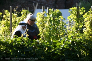 Burgfest Stargard-20120811-18 15 47 2298