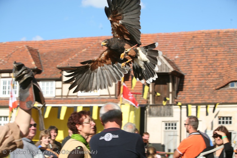 Burgfest Stargard-20120812-17 12 23 3854 - Burgfest_Stargard-20120812-17_12_23_3854.jpg Burgfest_Stargard-20120812-17_12_23_3854.jpg