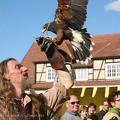 Burgfest_Stargard-20120812-17_12_23_3855.jpg