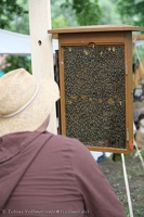 Neuenhagen-20120707-13 15 26 9971